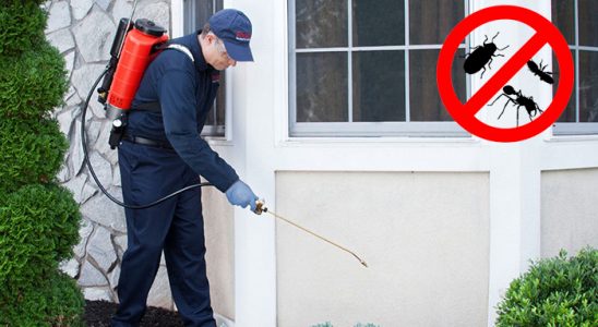 Çamlıhemşin Böcek ve Haşere İlaçlama böcek ilaçlama ve haşere kontrolü — ilaclama-tr.com